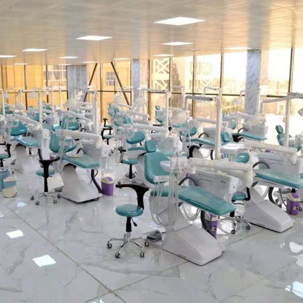Dental chair 2019 Iraq ABC university 75sets-2