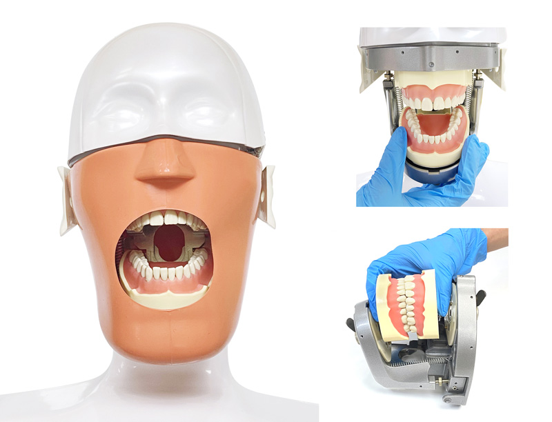 https://www.lingchendental.com/dental-simulator-version-iii-electric-simulation-system-product/