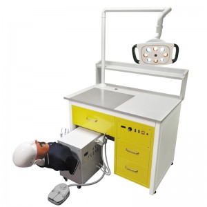 Dental Simulator Version III Electric Simulation Center