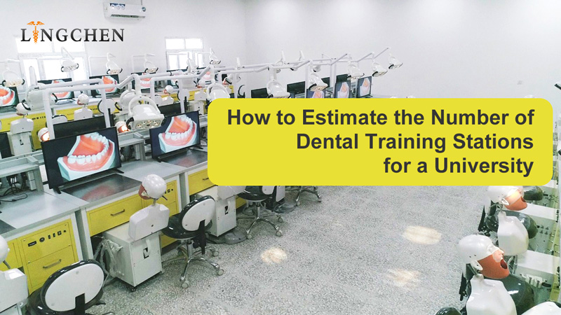 How to Estimate the Number of Dental Training Stations for a University
