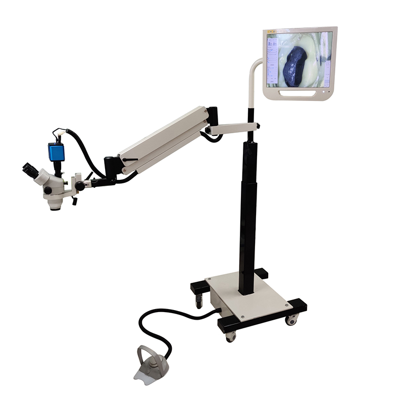 China Cheap Automatic Sealing Machine Manufacturers –  Auto focus electric moving dental microscope II – Lingchen